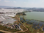 湿地