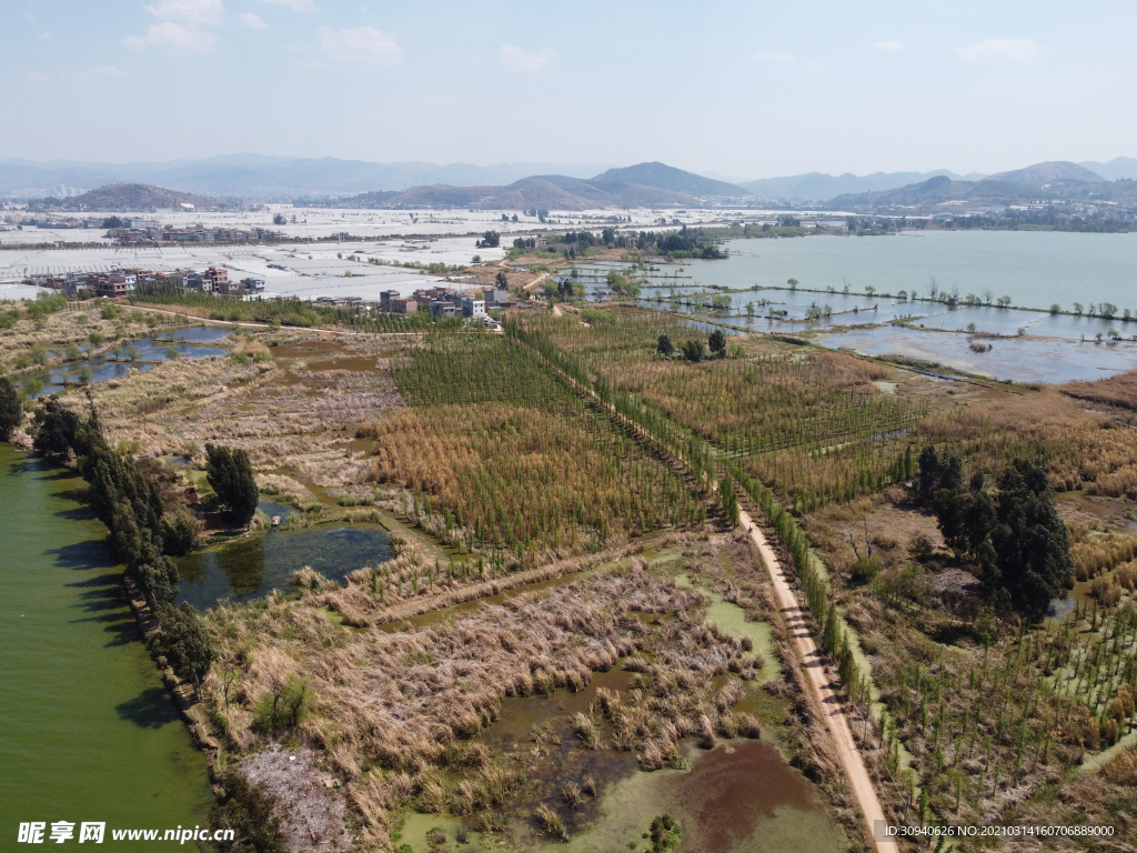 滇池湿地