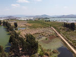 滇池湿地