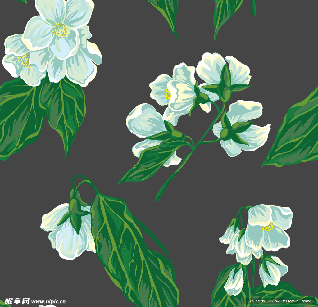 花朵 绿叶