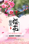 简约唯美醉美樱花节赏花旅游海报
