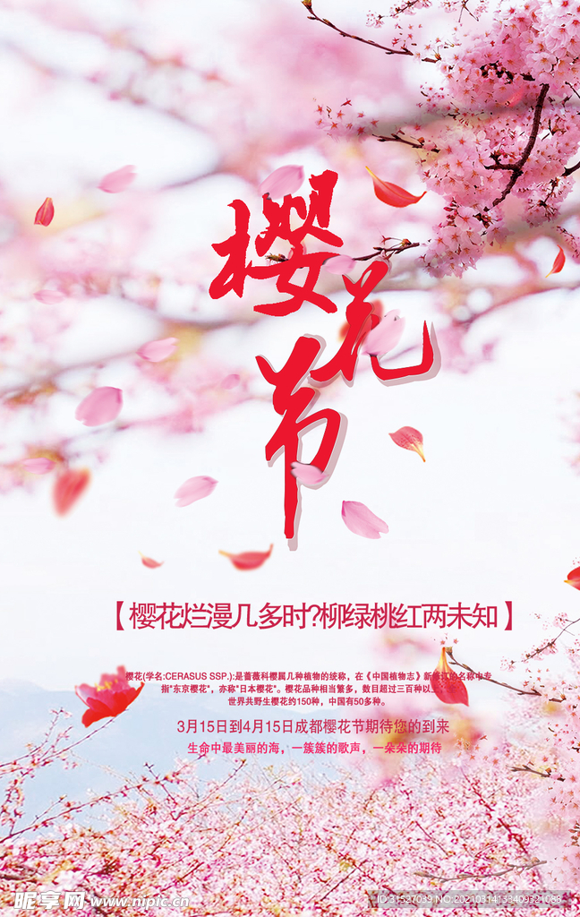 粉色浪漫樱花节宣传海报