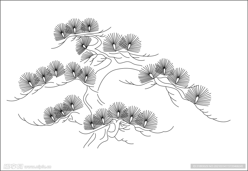 松树 线稿 雅 白描 树枝