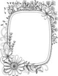 花边花纹