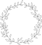 花边花纹