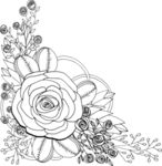 花边花纹