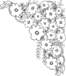 花边花纹