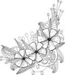 花边花纹
