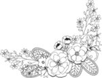 花边花纹