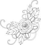 花边花纹