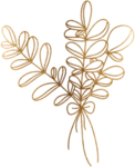 金色 花边花纹
