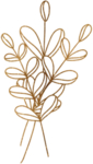 金色 花边花纹