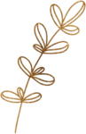 金色 花边花纹