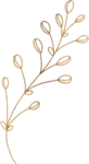 金色 花边花纹