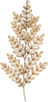 金色 花边花纹