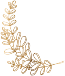 金色 花边花纹