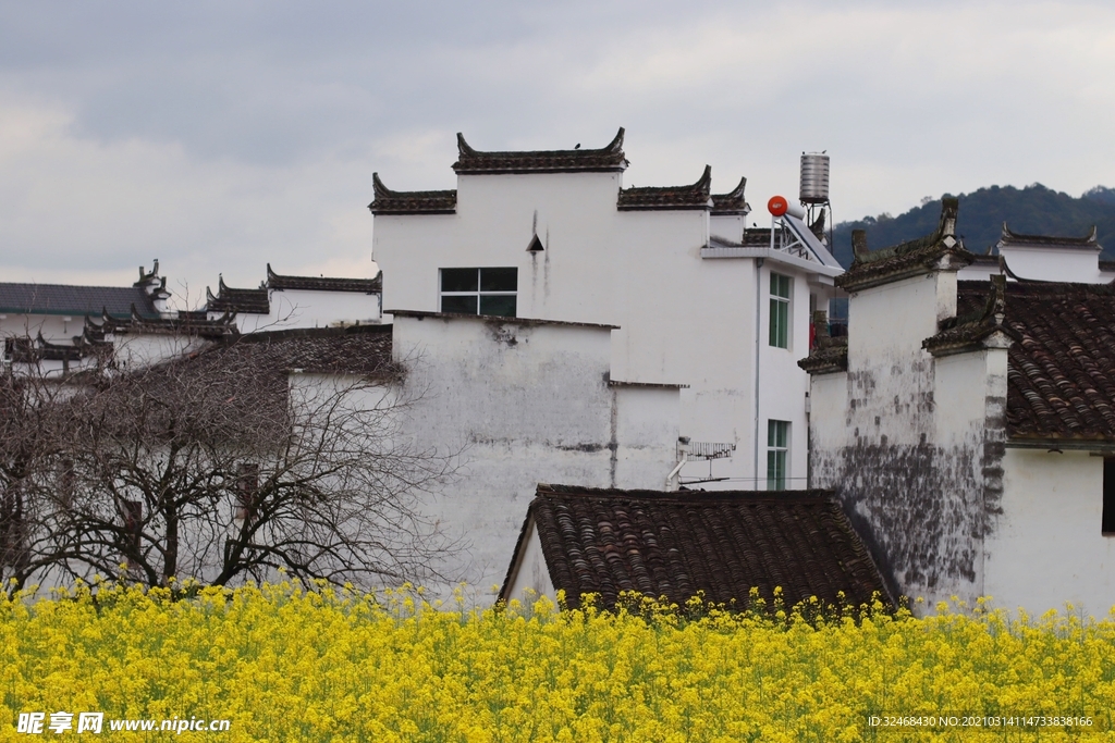 婺源油菜花建筑