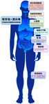 人体结构分析图疾病