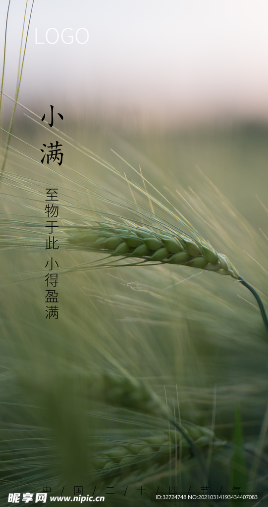 小满