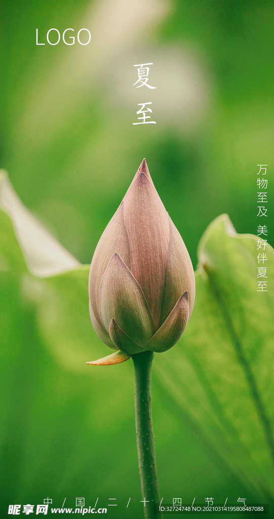 夏至
