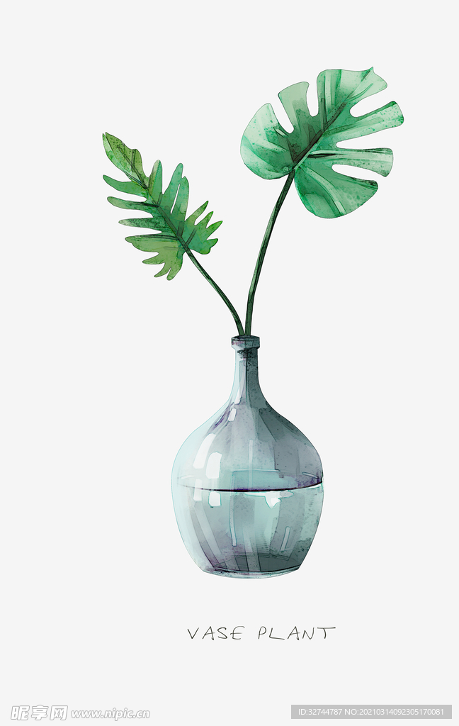 小清新植物装饰画