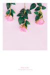 花卉装饰画