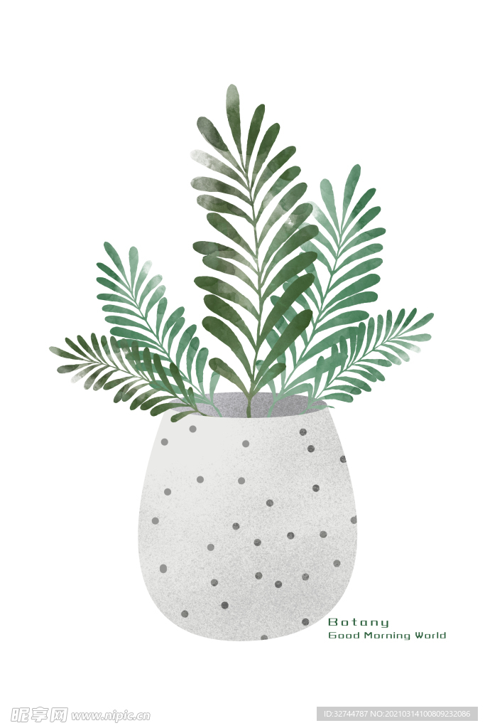 小清新植物