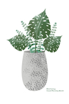 小清新植物