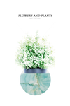 小清新植物