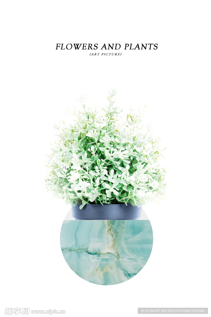 小清新植物