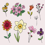 花卉素材