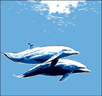 海豚矢量剪影