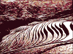 梯田风景画