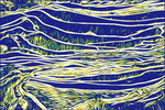 梯田矢量画