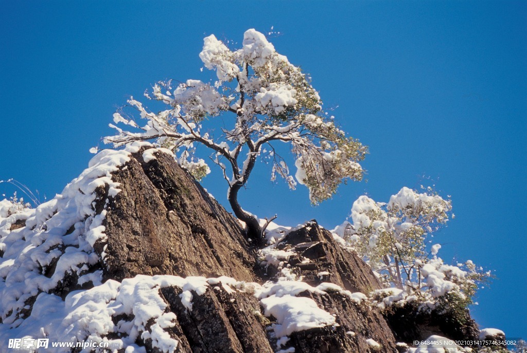 雪景