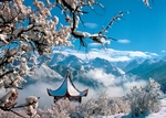 白雪仙境