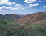 风景山
