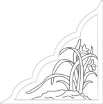 兰花角花