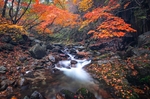 山水风景
