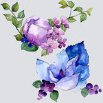 手绘花