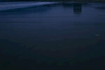 海