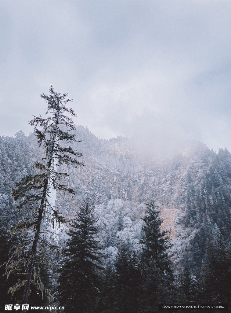 雪