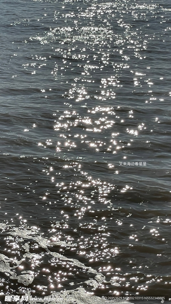 海