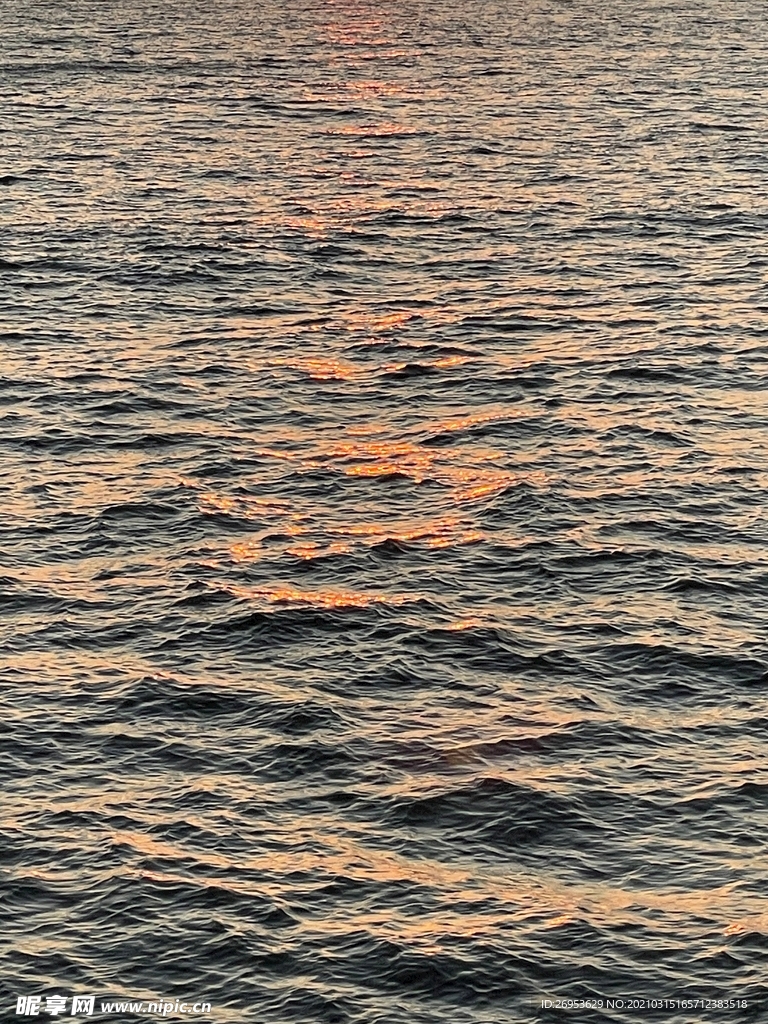 海
