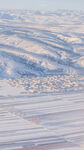 雪