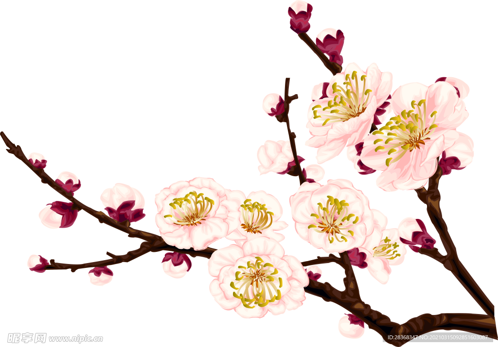 桃花素材