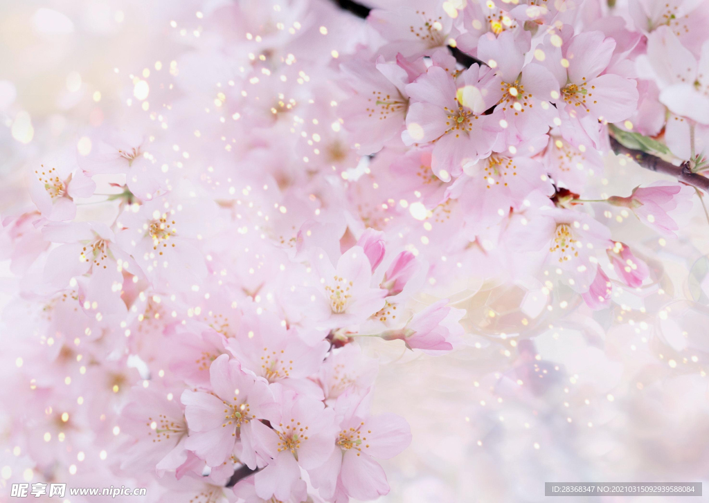 桃花素材