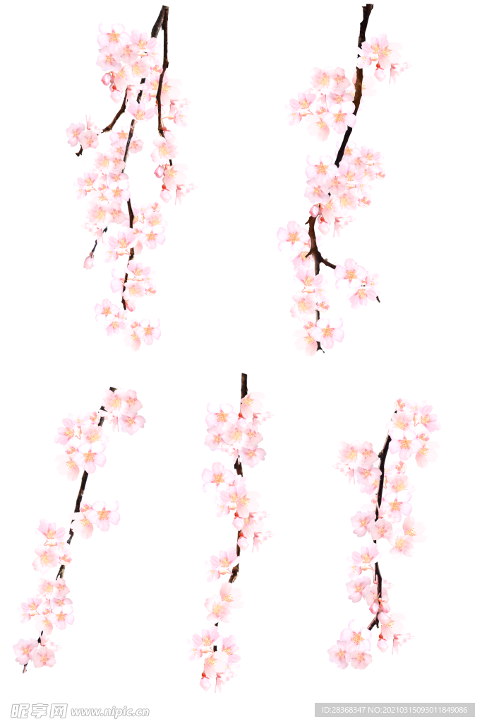 桃花素材