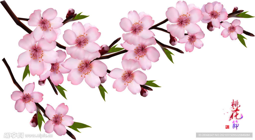 桃花素材