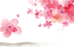 桃花素材